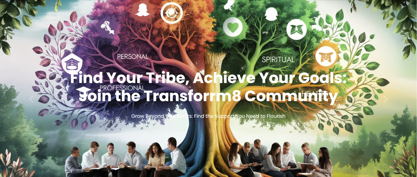 Transform8 — website preview