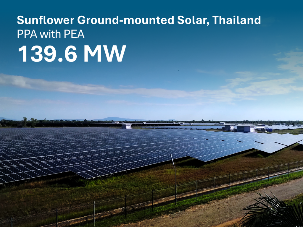 Sunflower-Ground-Mount